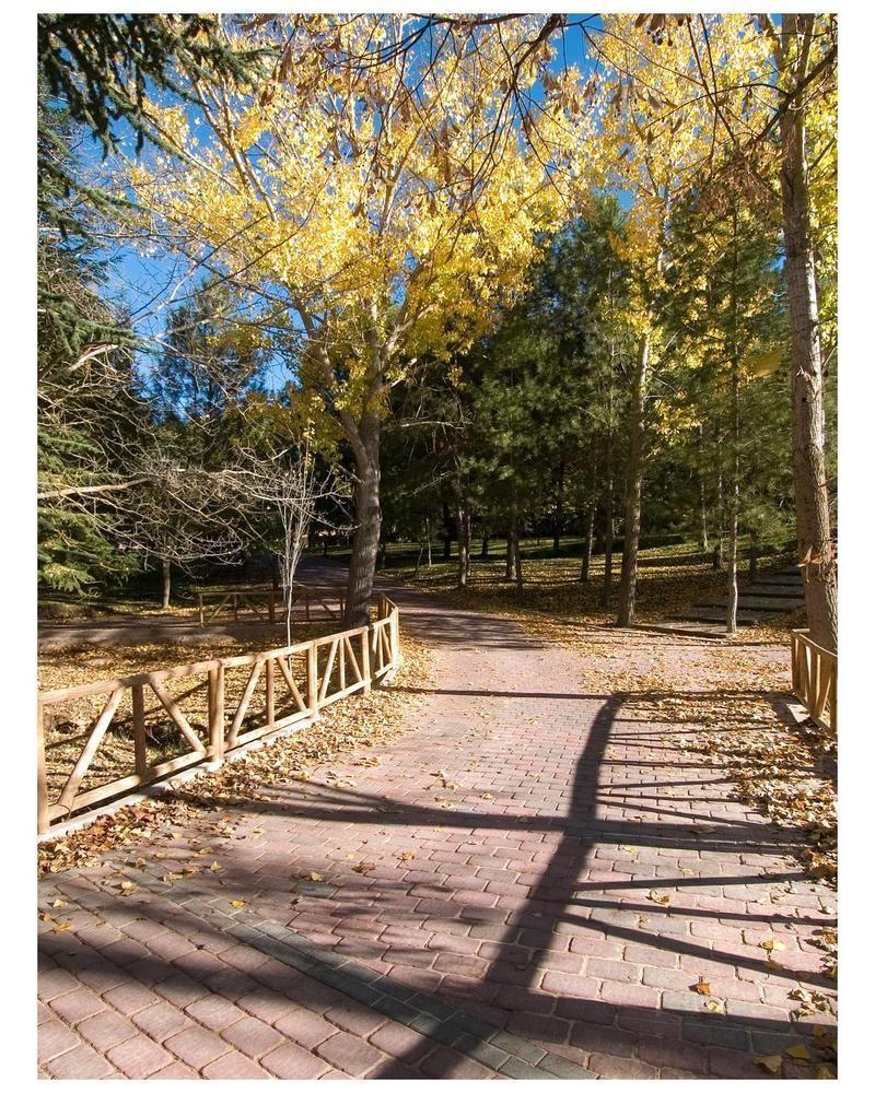 Отель La Casita De Cabrejas Fuentenava De Jabaga Экстерьер фото